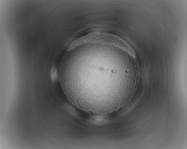 X0000113780089200909301158