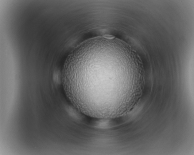 X0000113780090200909301158