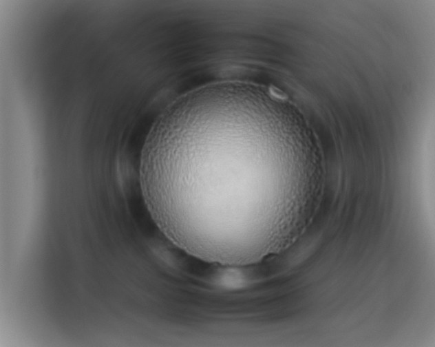 X0000113780091200909301158