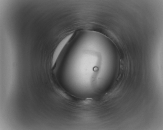 X0000113780092200909301158