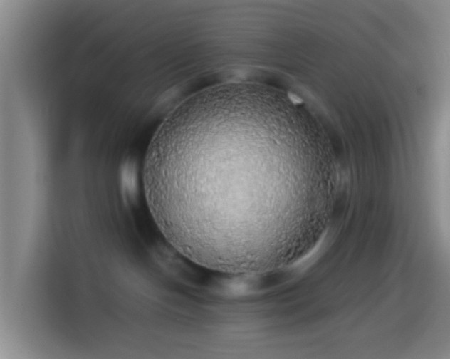 X0000113780094200909301158