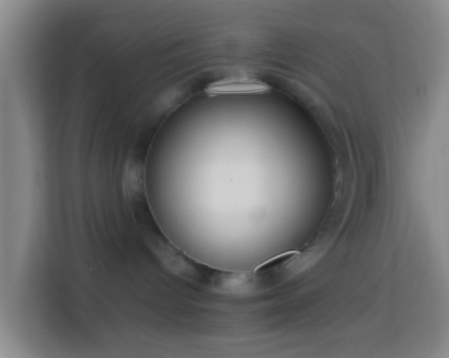 X0000113780096200909301158