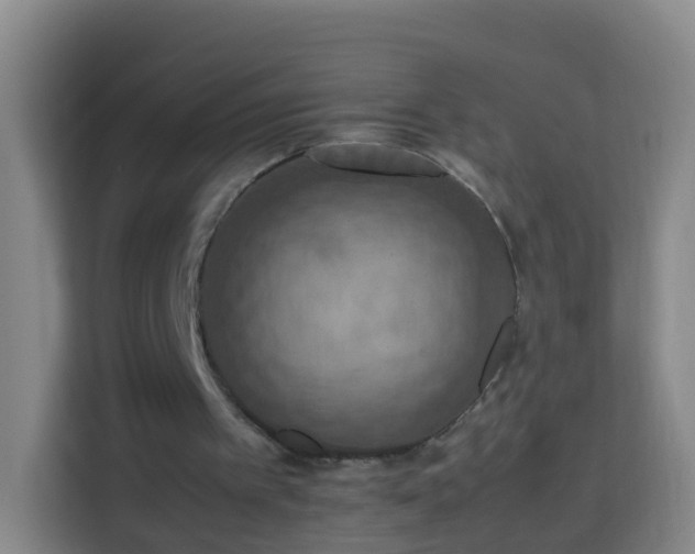 X0000113780097200909301157