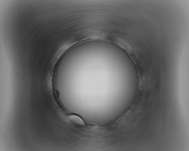 X0000113780098200909301157