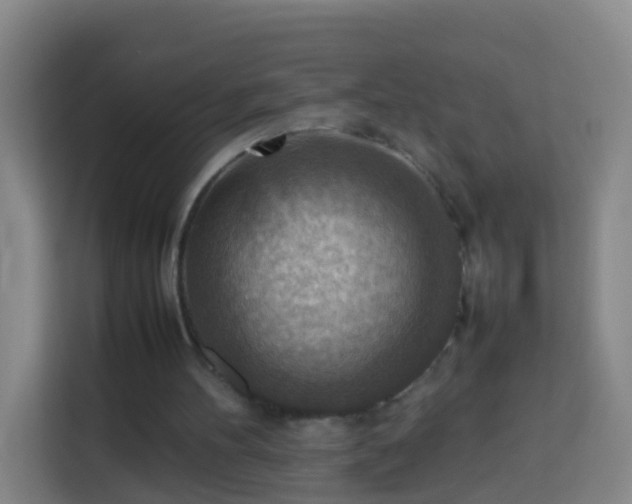 X0000113780100200909301157