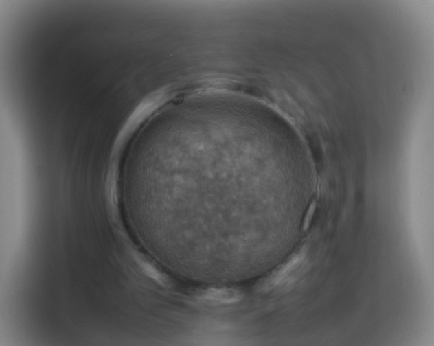 X0000113780101200909301157