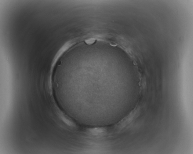 X0000113780102200909301157