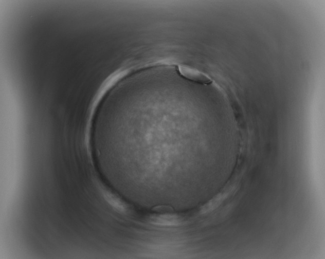 X0000113780104200909301157