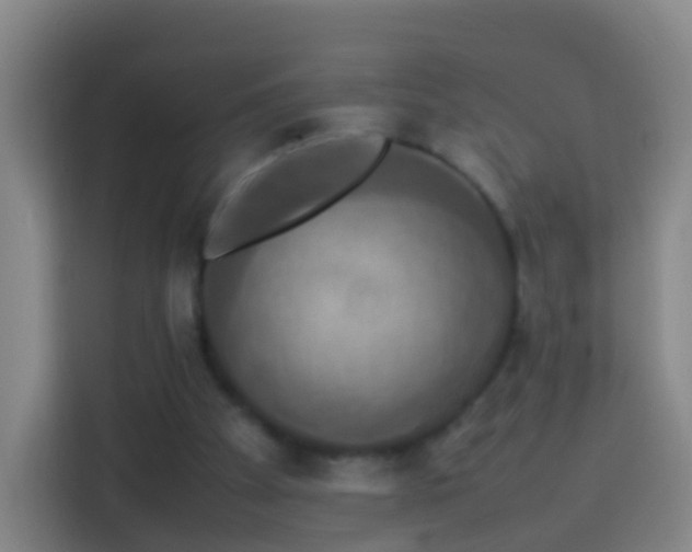 X0000113780105200909301157