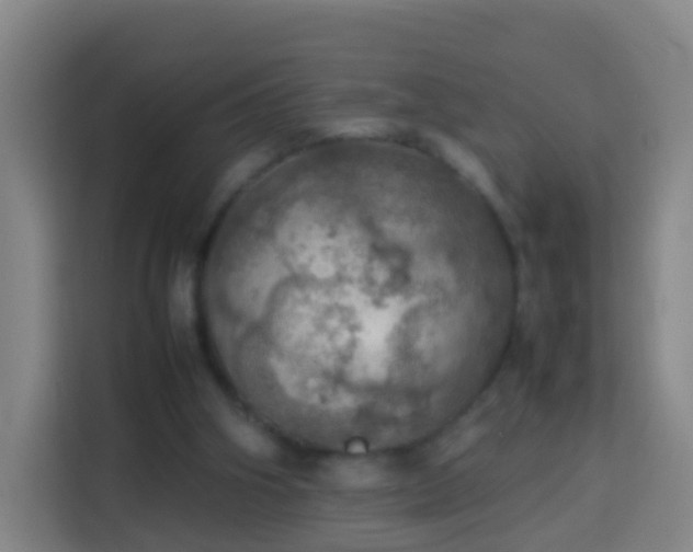 X0000113780106200909301157