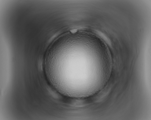 X0000113780107200909301157