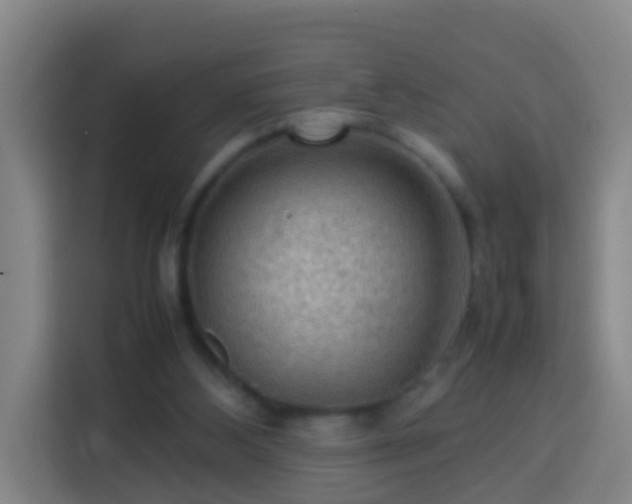 X0000113780108200909301157