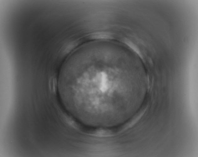 X0000113780109200909301157