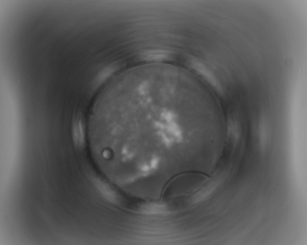 X0000113780110200909301157