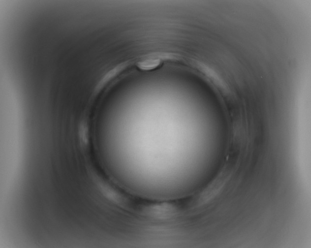 X0000113780112200909301157