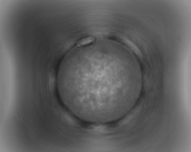 X0000113780113200909301157