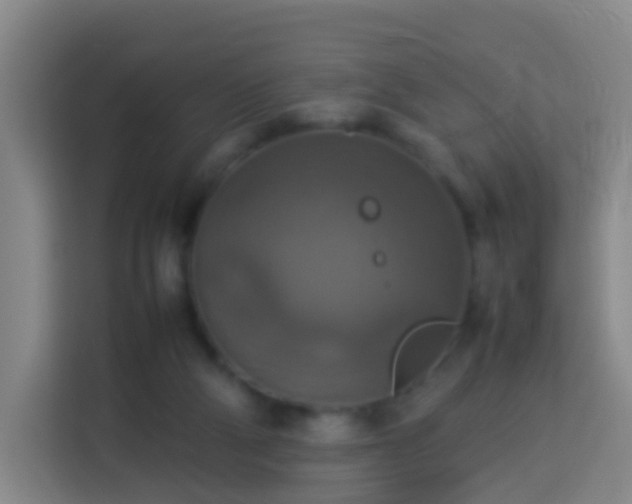 X0000113780114200909301157