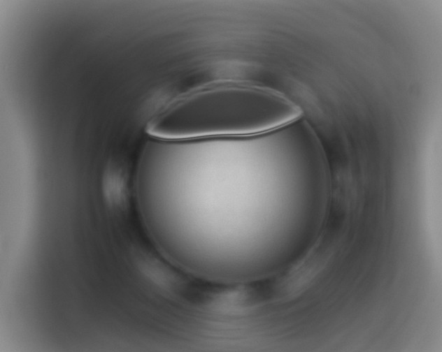 X0000113780116200909301157