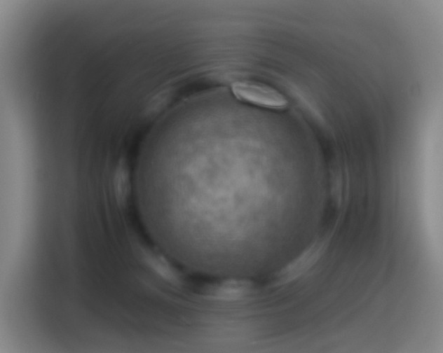 X0000113780128200909301157