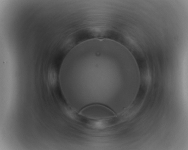 X0000113780130200909301157