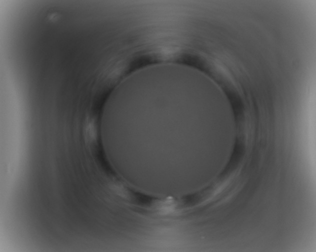 X0000113780131200909301157