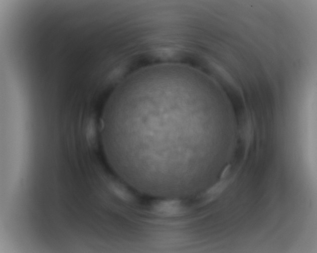 X0000113780132200909301157