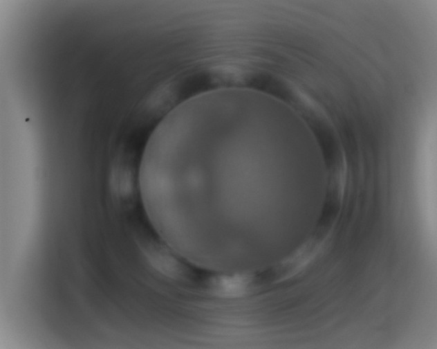 X0000113780134200909301157