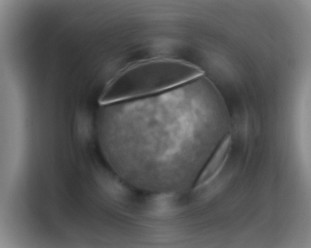 X0000113780136200909301157