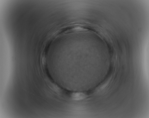 X0000113780137200909301157