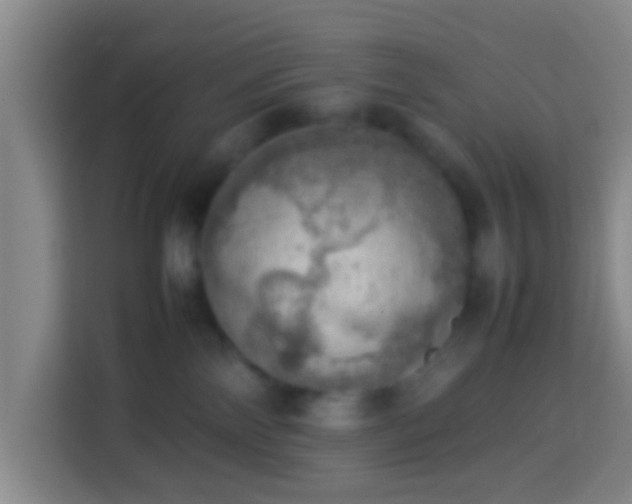 X0000113780138200909301157