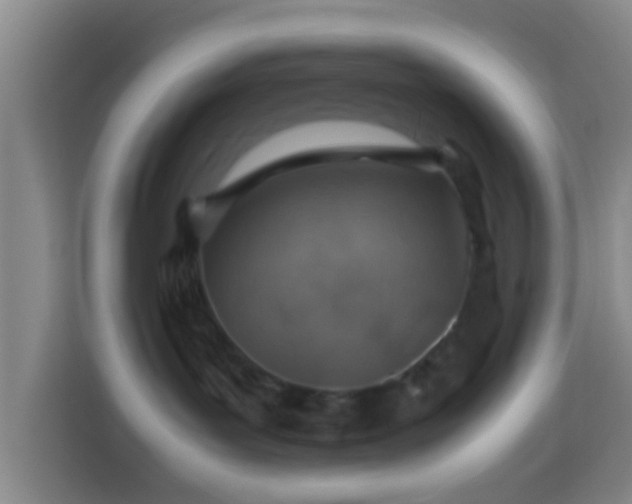 X0000113780143200909301157