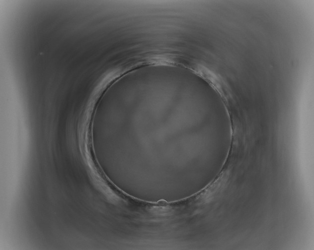 X0000113780145200909301156