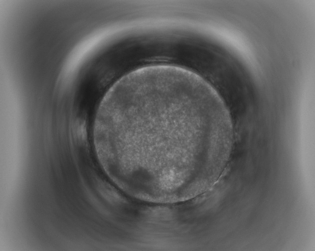 X0000113780146200909301156