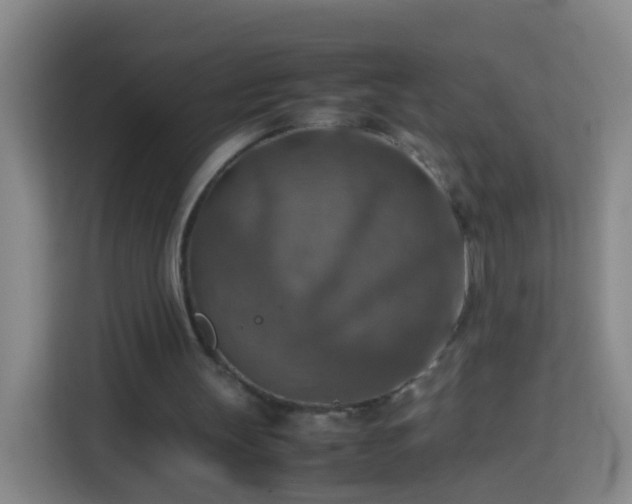 X0000113780147200909301156