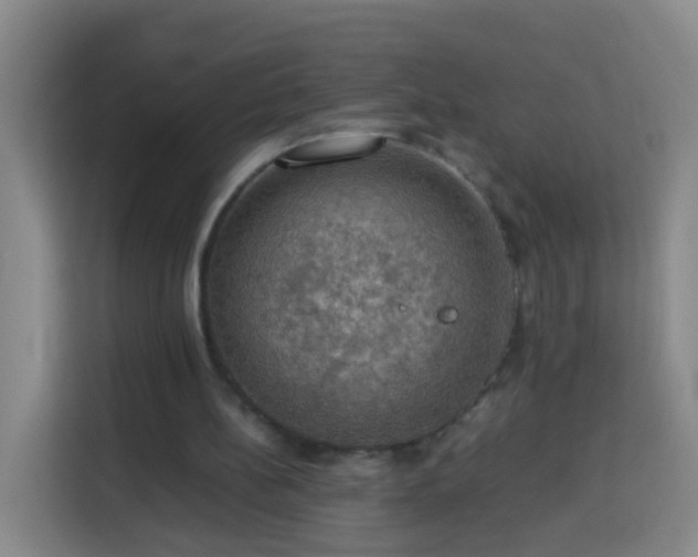 X0000113780148200909301156