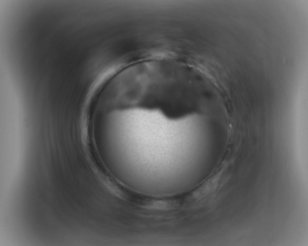 X0000113780149200909301156