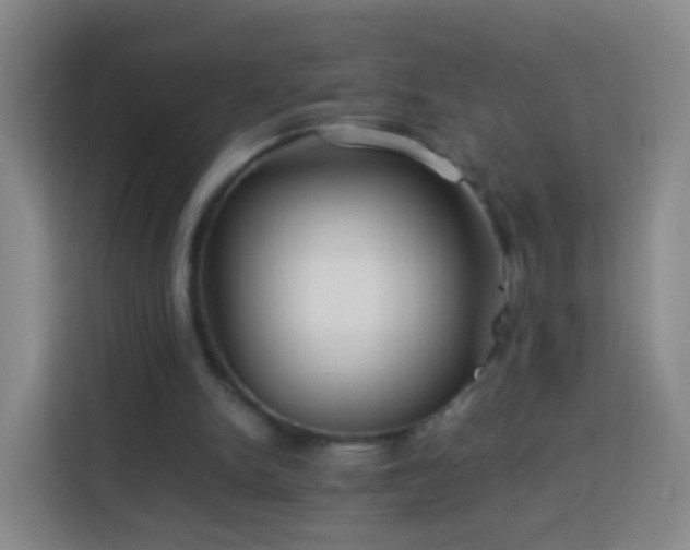 X0000113780150200909301156