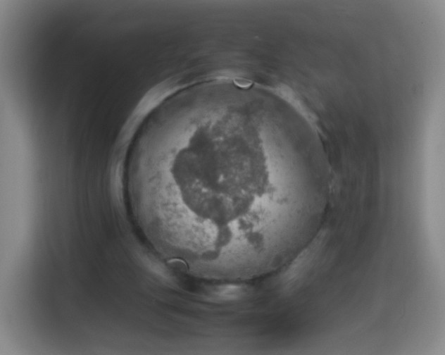 X0000113780151200909301156