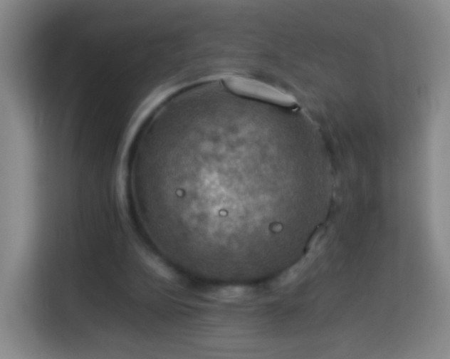 X0000113780152200909301156