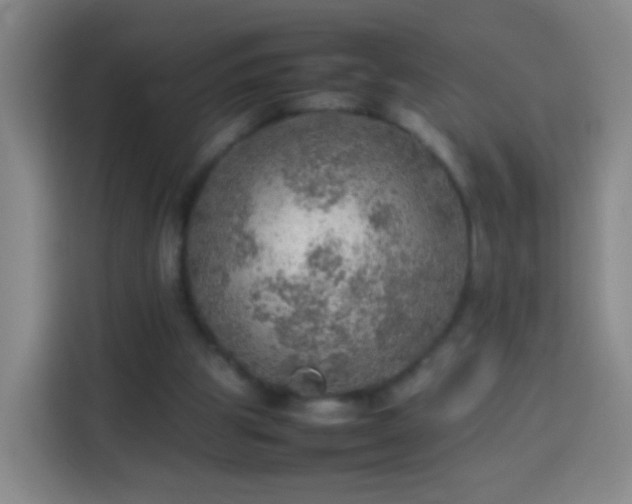 X0000113780153200909301156