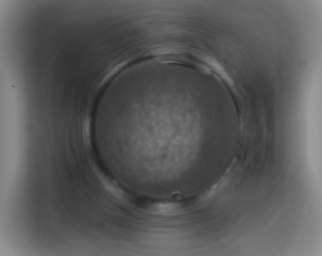 X0000113780154200909301156