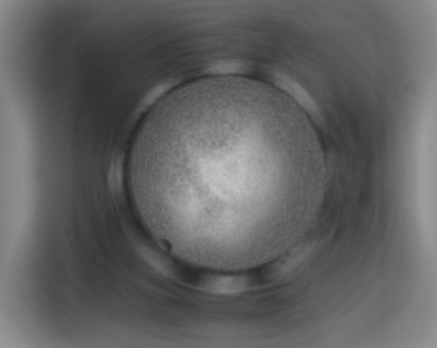 X0000113780155200909301156