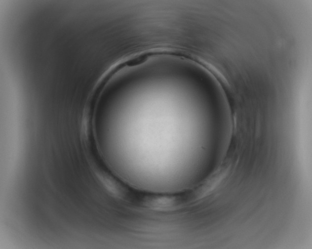 X0000113780156200909301156