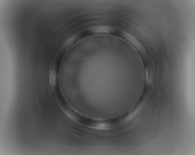 X0000113780157200909301156