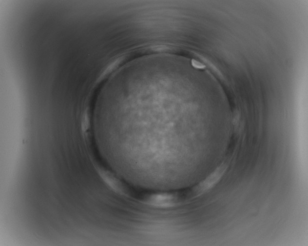 X0000113780158200909301156