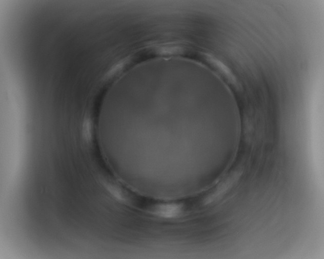 X0000113780161200909301156