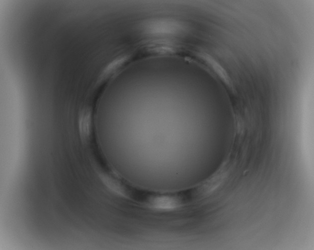 X0000113780163200909301156