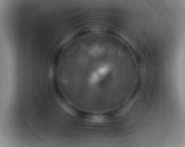 X0000113780165200909301156