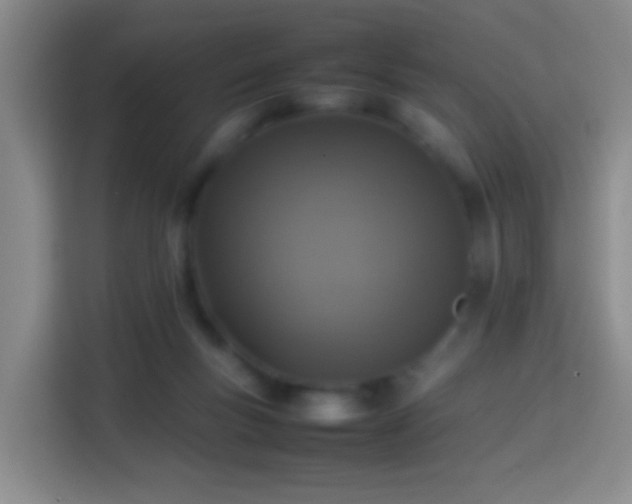 X0000113780167200909301156