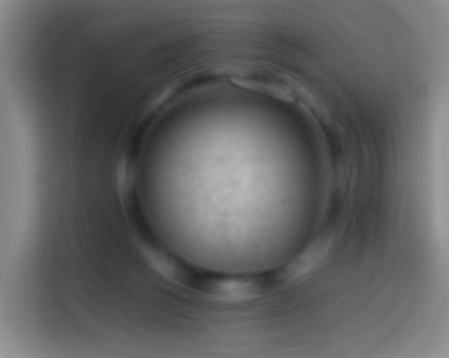 X0000113780168200909301157